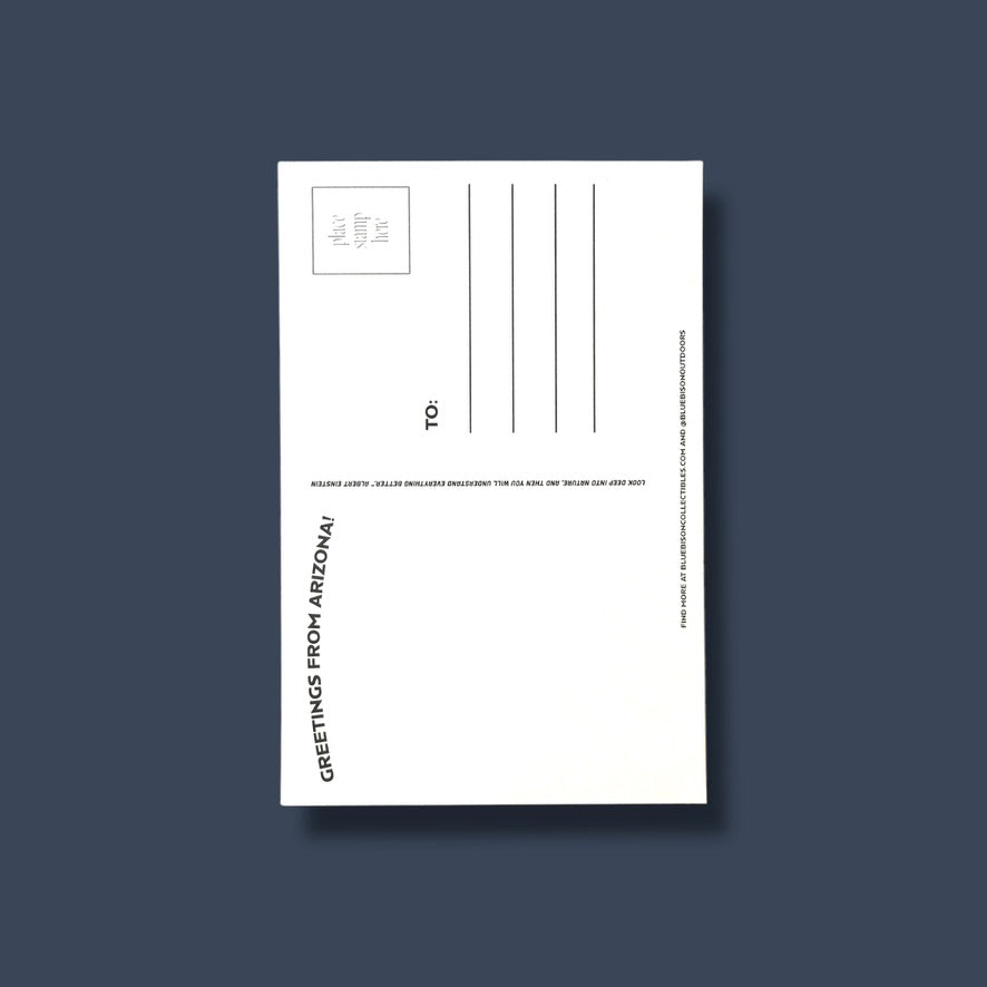 Horseshoe Bend Arizona Postcard (Pack of 12)