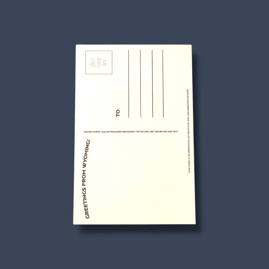 Tetons Wyoming Postcard (Pack of 12)