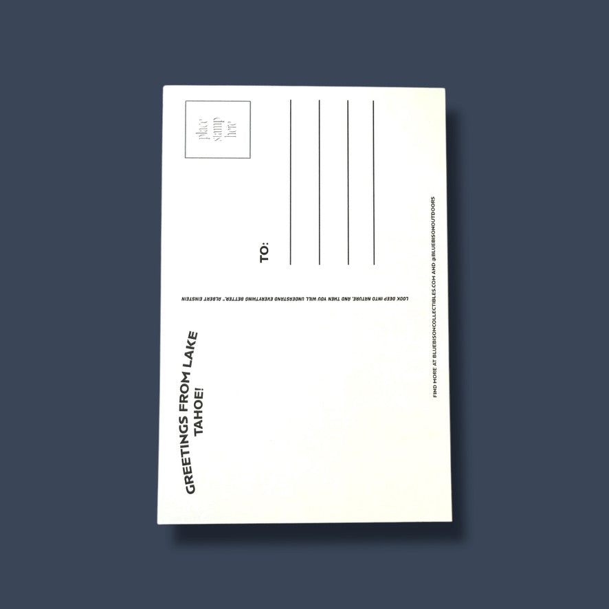 Lake Tahoe Nevada Postcard (Pack of 12)