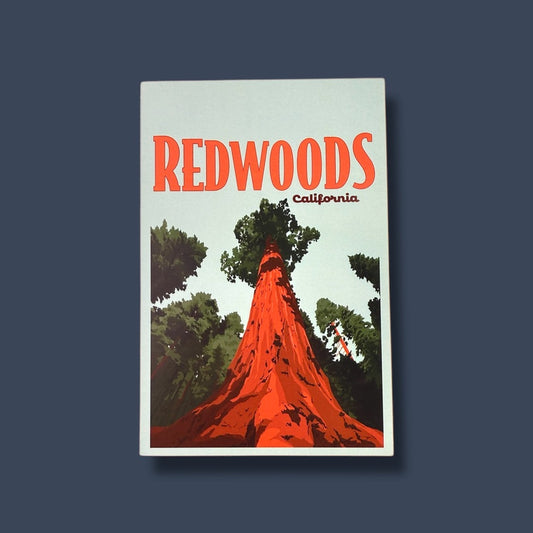 Redwoods California Postcard