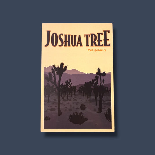 Joshua Tree California Postcard