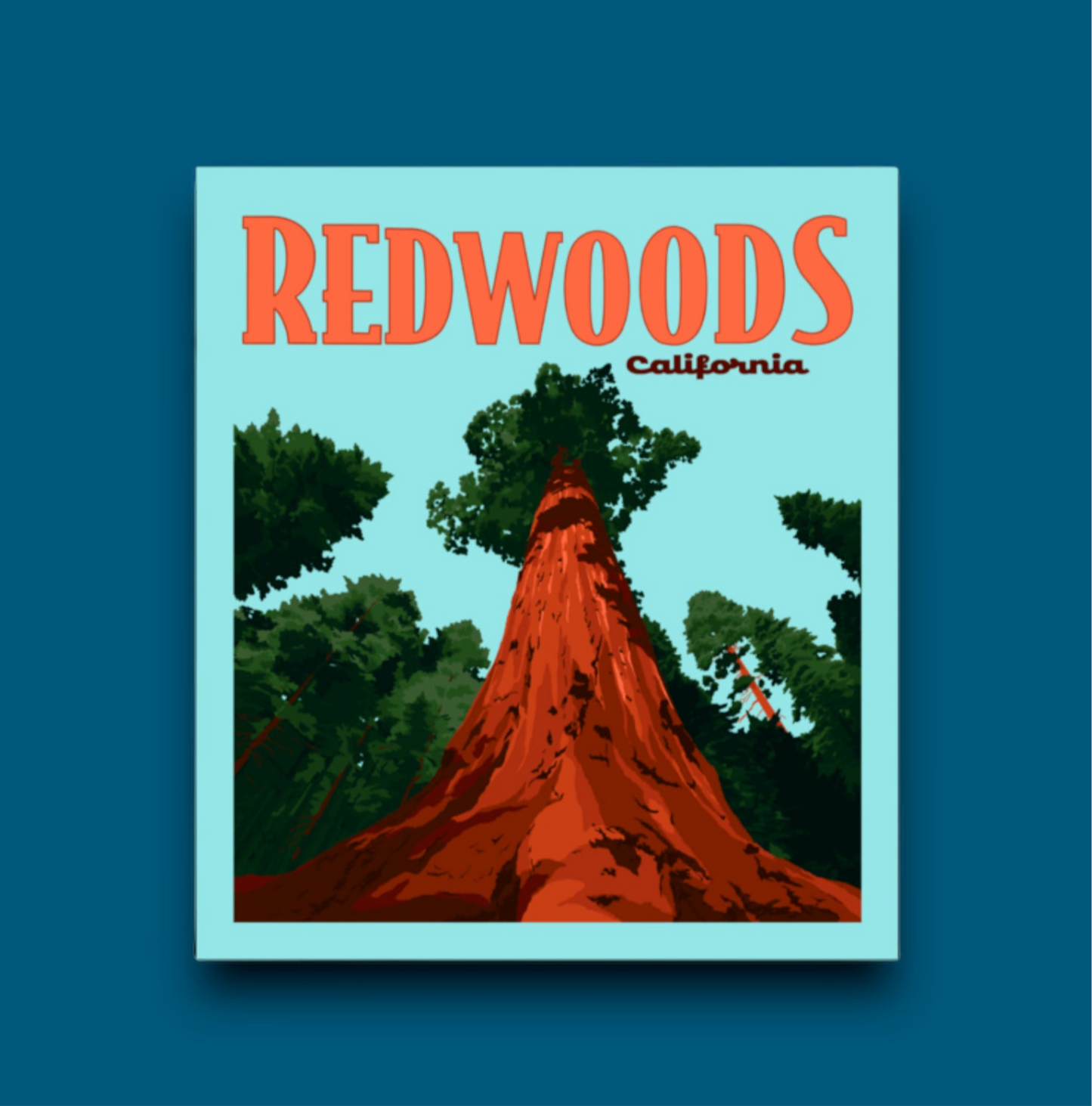 Redwoods, California- Poster Sticker