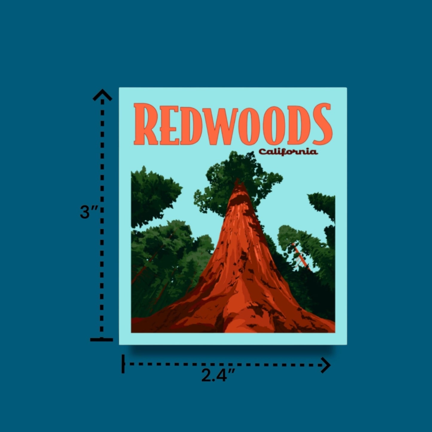 Redwoods, California- Poster Sticker