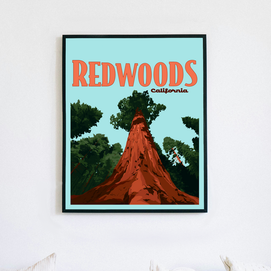 Redwoods California Poster Prints