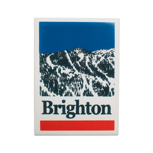Brighton Classic's Fridge Magnet (Pack of 12)