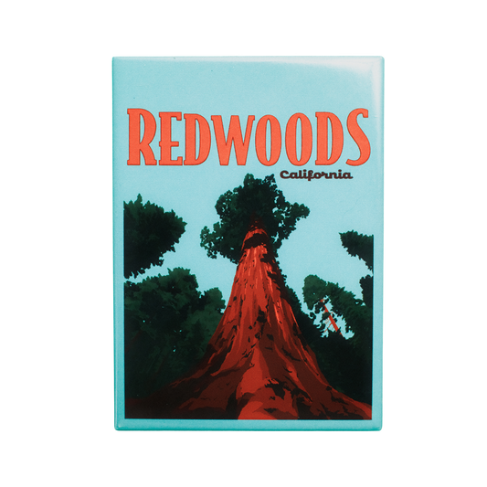 Redwoods California Fridge Magnet (Pack of 12)