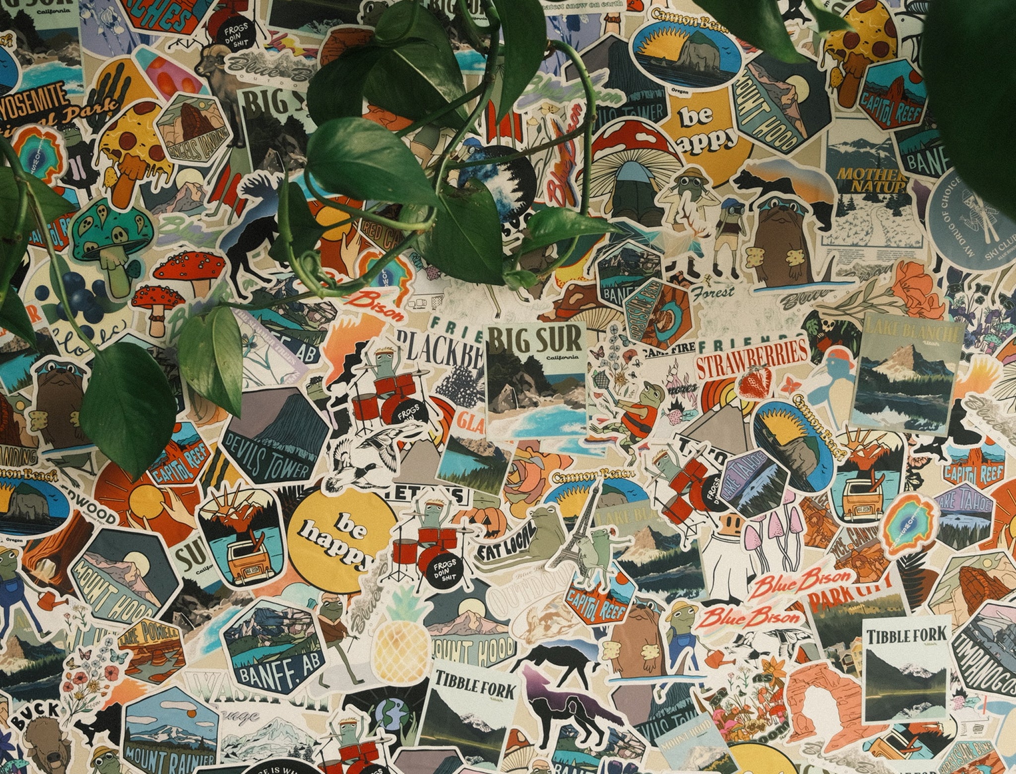 Blue Bison Collectibles